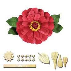 S2-164 Zinnia