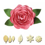 S2-167 Camellia