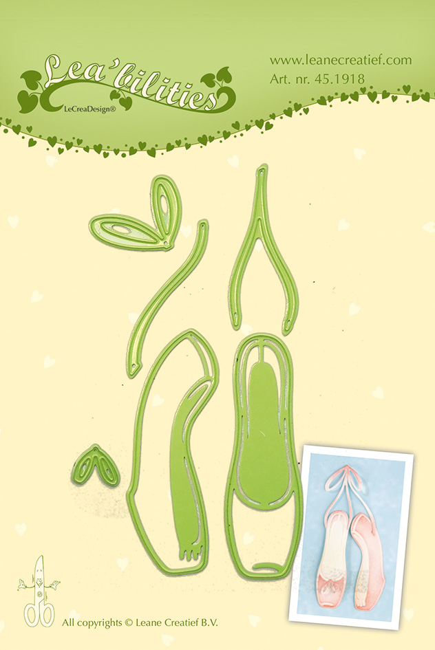 45.1918 ballet shoes