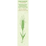 35.2601 Leane Creatief Border Embossing Folder - border ear of corn