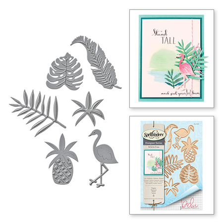 S4-676 Shapeabilities Tropics Wild & Free By Debi Adams Etched Dies