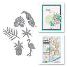 S4-676 Shapeabilities Tropics Wild & Free By Debi Adams Etched Dies