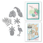 S4-676 Shapeabilities Tropics Wild & Free By Debi Adams Etched Dies