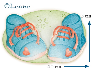 45.3240 Baby shoes