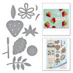 s4-719 SHAPEABILITIES MARKET FRESH BY DEBI ADAMS ARENT YOU SWEET ETCHED DIES