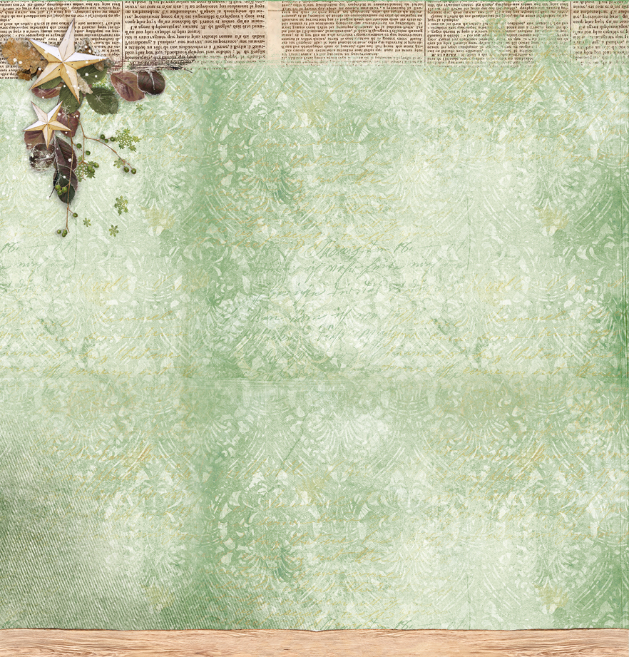 SCRAPWW02 Papier dwustronny 30x30 StudioLight - Woodland Winter 2
