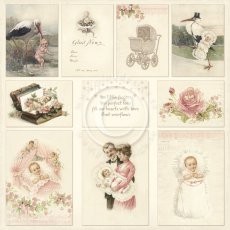 PD1610 Papier jednostronny 30,5x30,5cm- Sweet Baby I