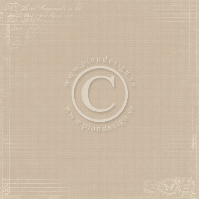 PD6812 Papier dwustronny 30,5x30,5cm-To my Valentine-Tags
