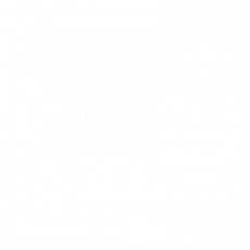2928-097 Double sided paper  Smooth FLORENCE 30,5x30,5 cm- White