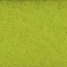 10420-012 Bright Green