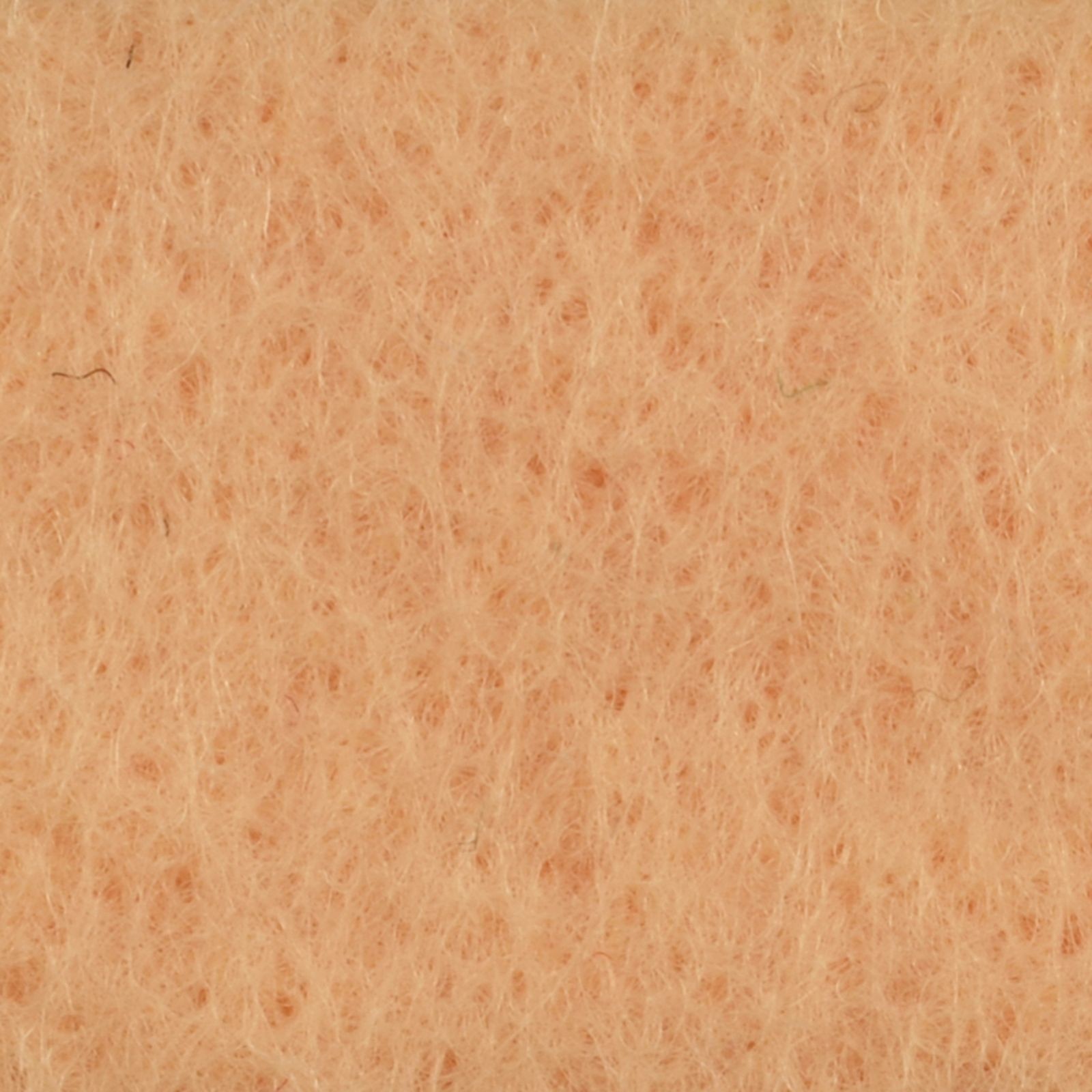10420-016 Salmon