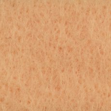10420-016 Salmon