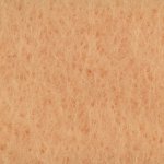 10420-016 Salmon
