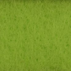 10420-032 Light green