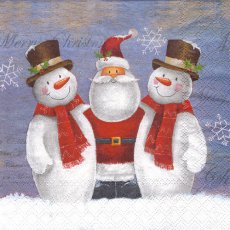SERW029 Serwetka do decoupage'u 33x33cm 