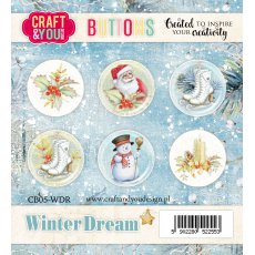 CB05-WDR Zestaw samoprzylepnych ozdób / buttonów - Winter Dream 6szt