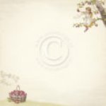 PD9606 Papier dwustronny 30,5x30,5cm - Summer Falls into Autumn-Plum garden