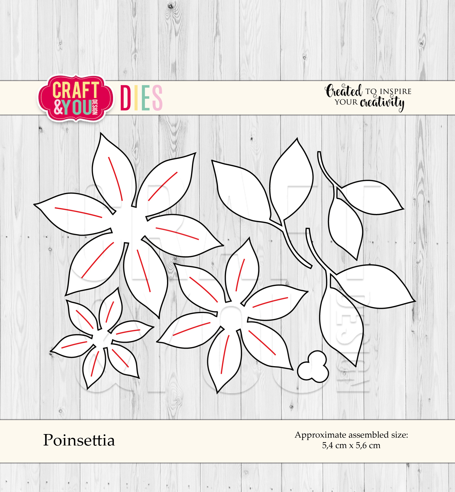 CW055 Poinsettia
