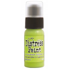TDD43652 Tim Holtz distress paint -twisted citron