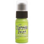 TDD43652 Tim Holtz distress paint -twisted citron