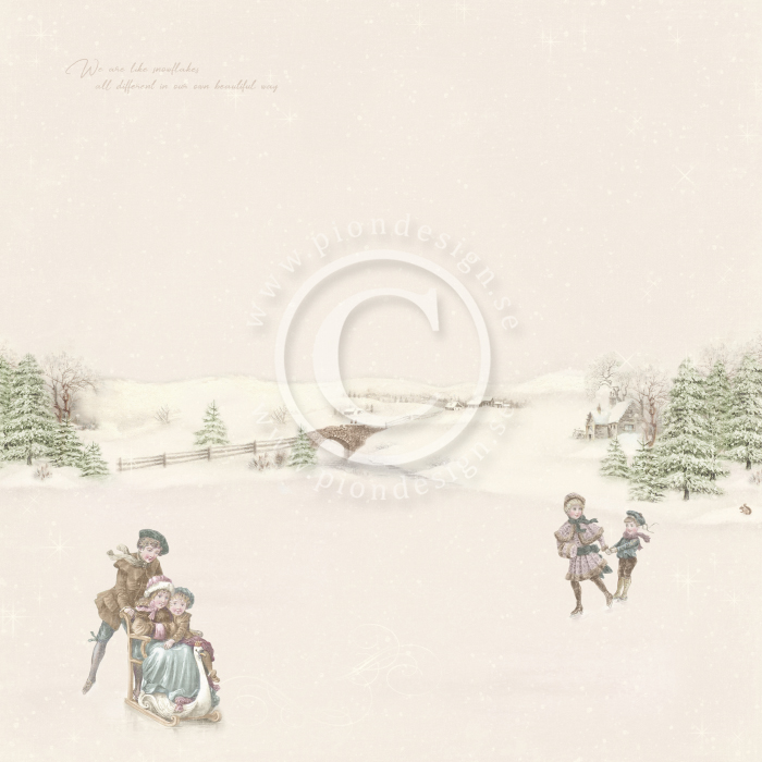 PD22002 Papier dwustronny 30,5x30,5cm -Winter Wonderland-Winter fun
