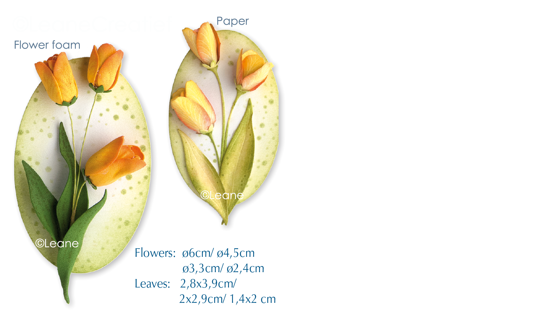45.5657 Wykrojnik Leane Creatief - tulipan 3D