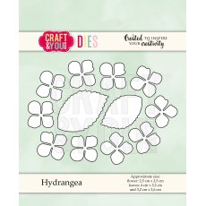 CW068 Hydrangea