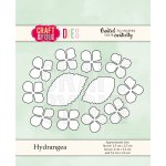 CW068 Hydrangea