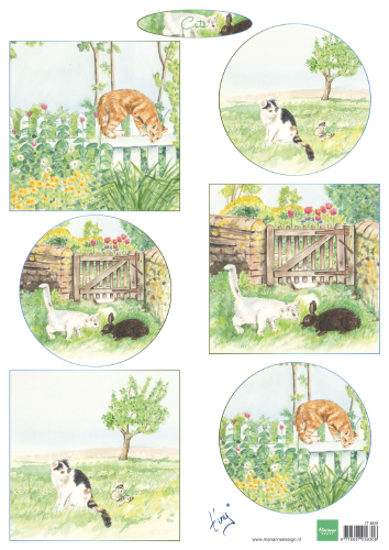 IT609 Arkusz A4 -Marianne Design - Tiny's Cats