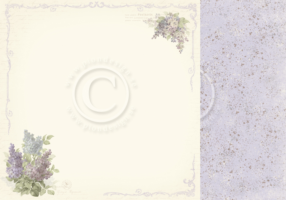 PD26001 Double-sided paper 30,5x30,5cm-New Beginnings-Dreams of lilacs