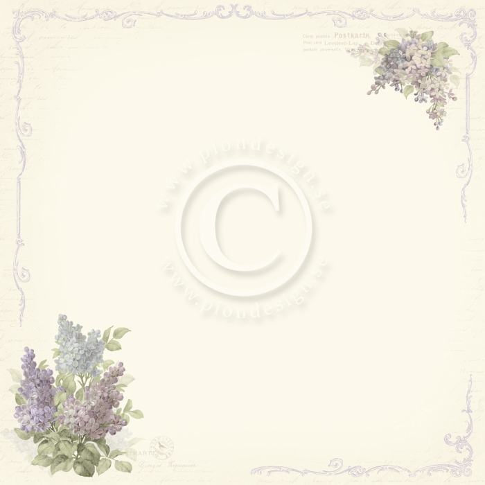 PD26001 Double-sided paper 30,5x30,5cm-New Beginnings-Dreams of lilacs