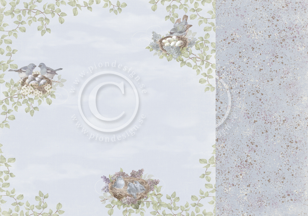 PD26003 Double-sided paper 30,5x30,5cm-New Beginnings-Nesting birds