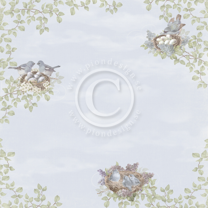 PD26003 Double-sided paper 30,5x30,5cm-New Beginnings-Nesting birds