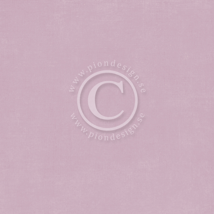 PD26011 Double-sided paper 30,5x30,5cm-New Beginnings-Little things