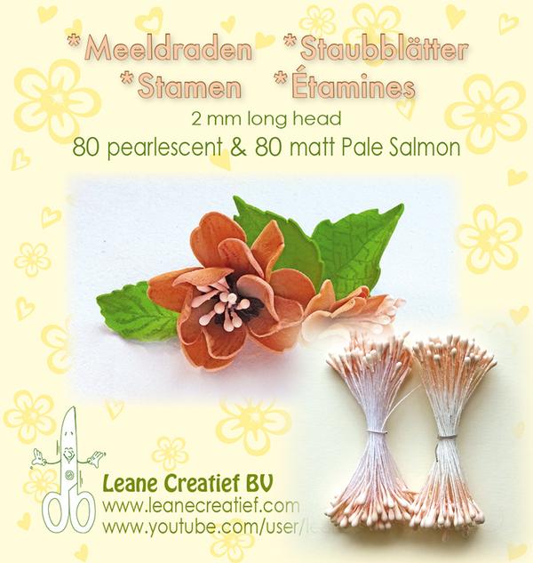 26.6616 Flower stamens - pale salmon(matt 80pcs + pearl 80pcs)