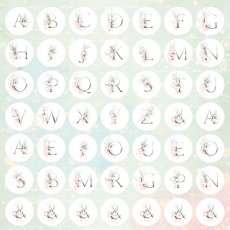 CP-DC07 One-sided paper-elements-Craft & You Design 30.5x30.5 Dream Ceremony