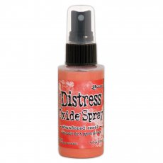 TSO67528 SPRAY Distress Oxide spray Abandoned coral
