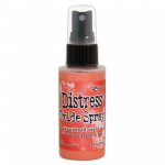 TSO67528 SPRAY Distress Oxide spray Abandoned coral