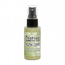 TSO67870 Distress Oxide spray Shabby shutters