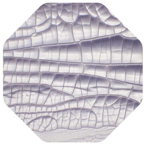 1393N Mus Nuvo Crackle Mousse Misty Mauve