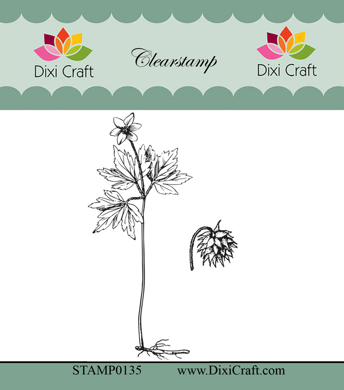 STAMP0135 Stemple Dixi Craft - Botanical Collection-rośliny 1