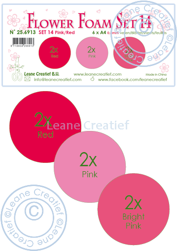 25.6913 Set 14 Pink-Red