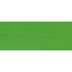 RENCOL20-C25 - Acrylic Colors Renesans - 20ml - Paolo Veronese green
