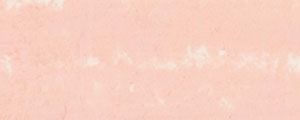 RENPAS-049 Soft pastels Renesans - Flesh tint bright