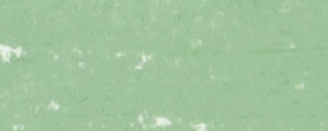 RENPAS-081 Soft pastels Renesans - Java green