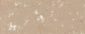 RENPAS-102 Soft pastels Renesans - Rose grey deep