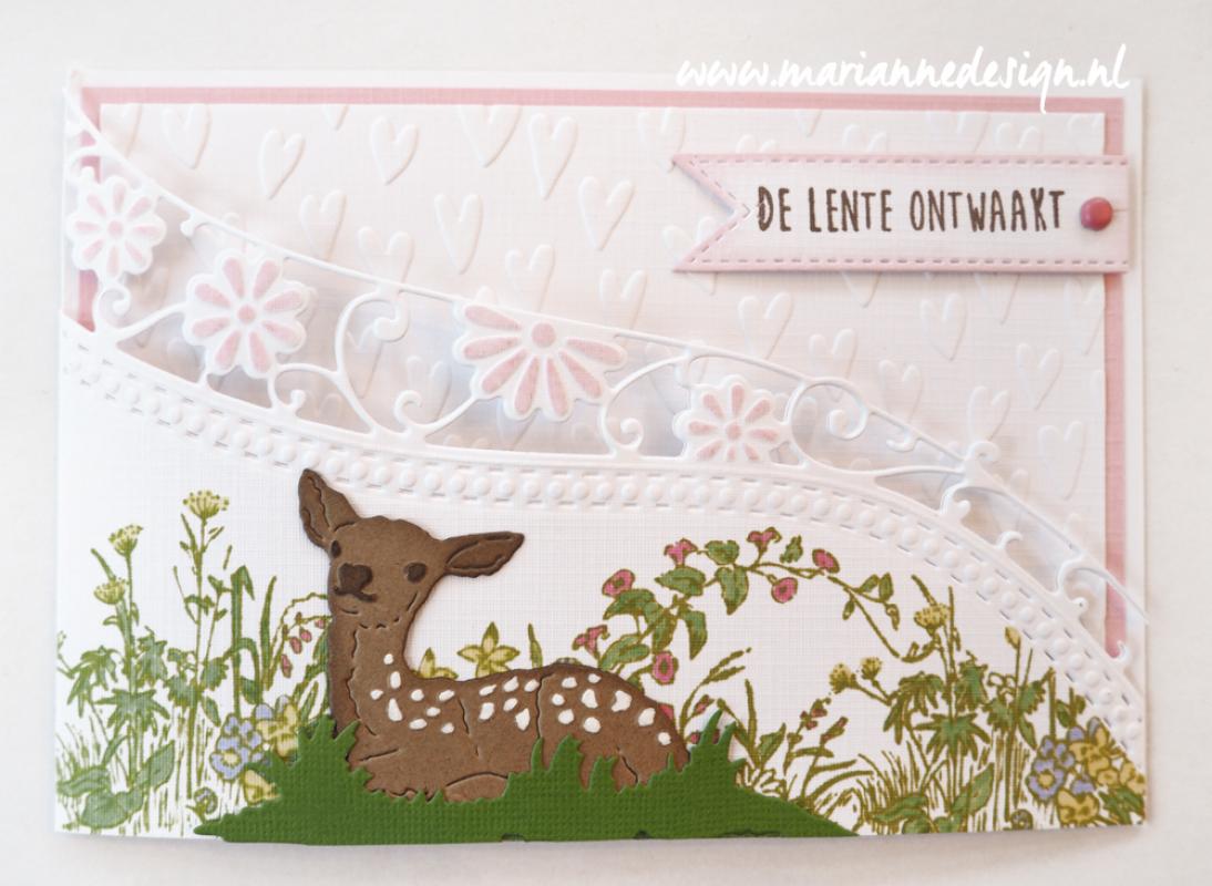 TC0863 Clear Stamps Border - Tiny's border - Meadow