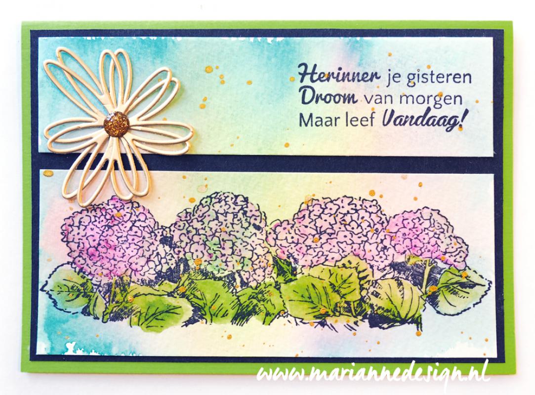 TC0871 Clear Stamps Border - Tiny's border - Hydrangea