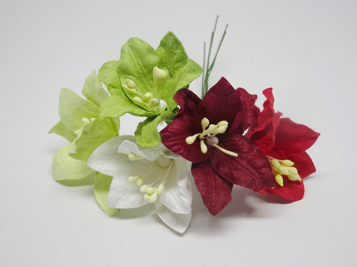 ILC-F-LILY01 Lilie - mix 5 sztuk