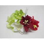 ILC-F-LILY01 Lilie - mix 5 sztuk
